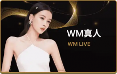 WM品牌官方入口——引领智能娱乐与互动潮流